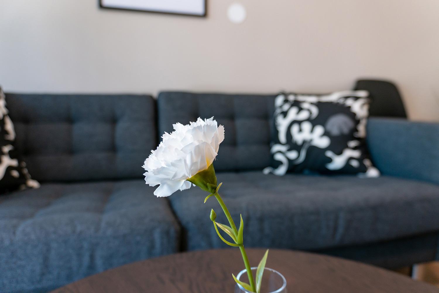 Perchlodge Mönsterås エクステリア 写真